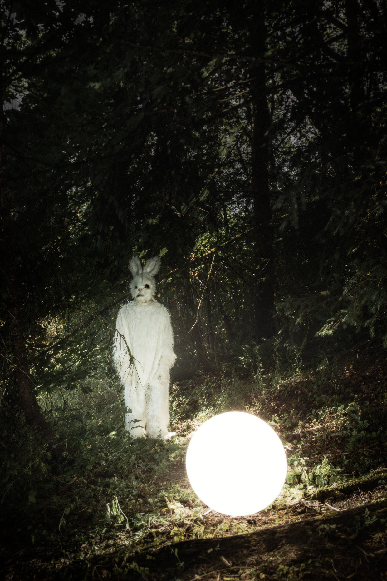 Moody scene of a Scary Bunny Rabbit Donnie Darko in a haunted forest with glowing white ball. Poster art by Andy Batt