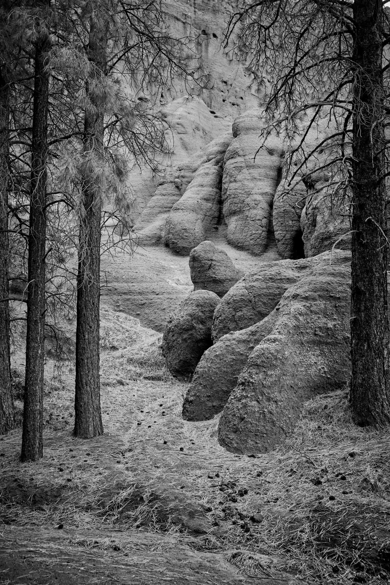b&w dry riverbed surrounded by trees and volcanic rock formations