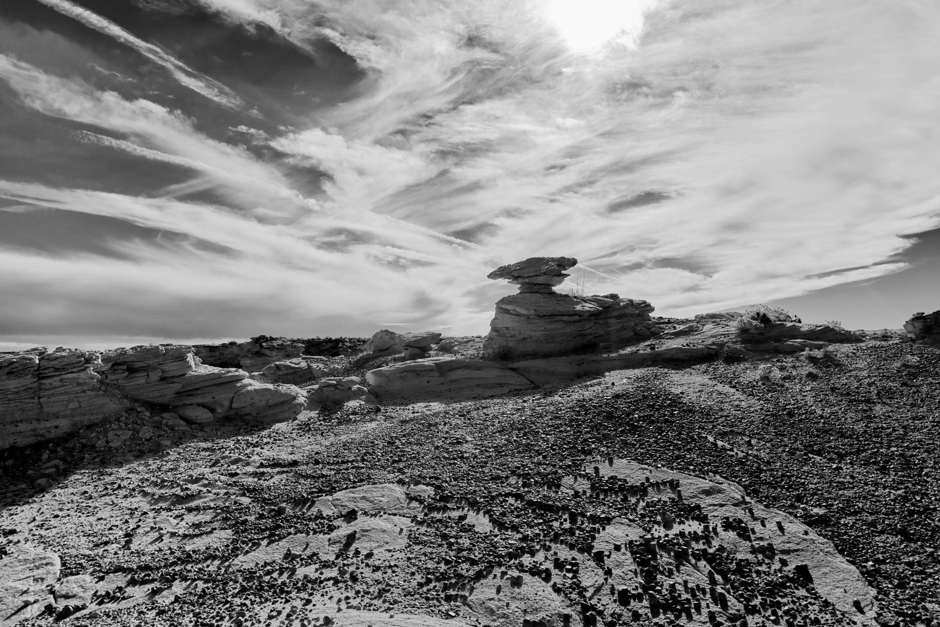 The Sonsela Member in the Petrified National Forest-b&w the upper Flattops One Bed, which consists of a thick cliff-forming brown, cross-bedded sandstone