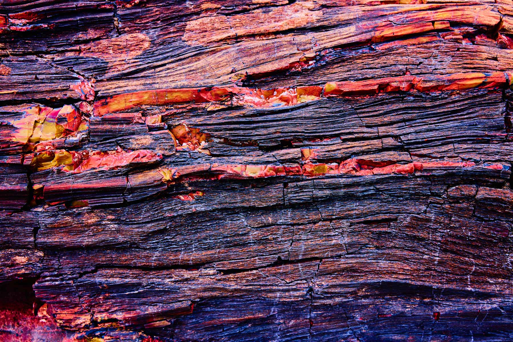 Petrified Wood, Tall Tree area, Petrified Forest National Park, AZ-landscape by Andy Batt